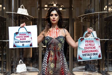 milano repubblica prada peta|Prada, l'ultimo traguardo: un polo per sfidare i francesi (e il primo .